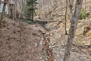 Fernbrook Rd-S2703-058.jpg