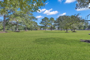 This beautiful green space area is surrounded by a nearby walking  trail.