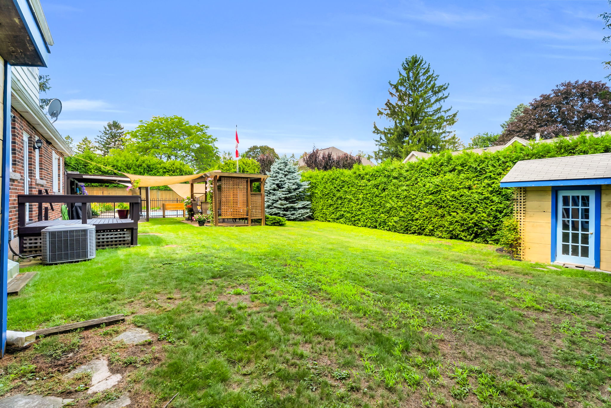 Backyard