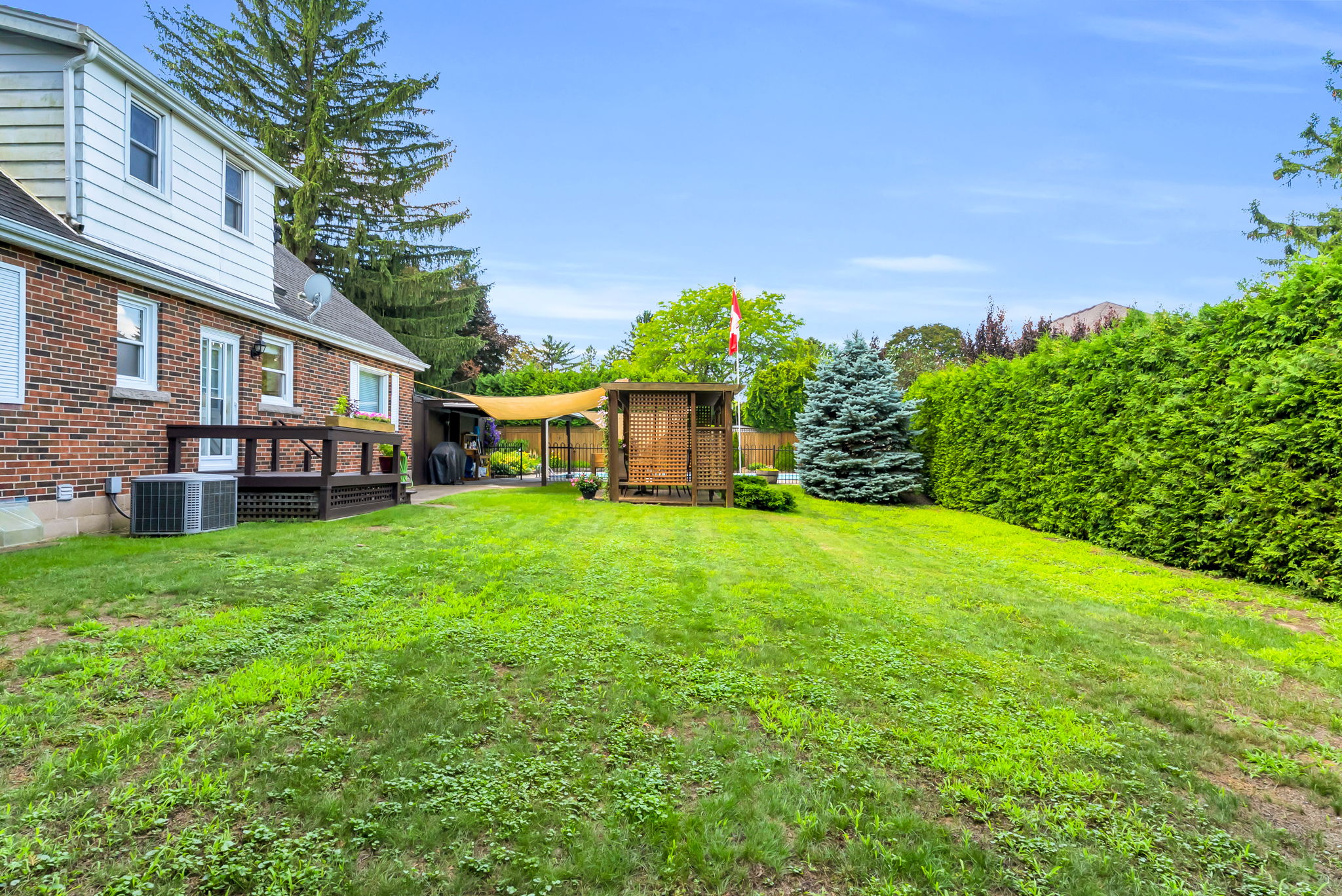 Backyard