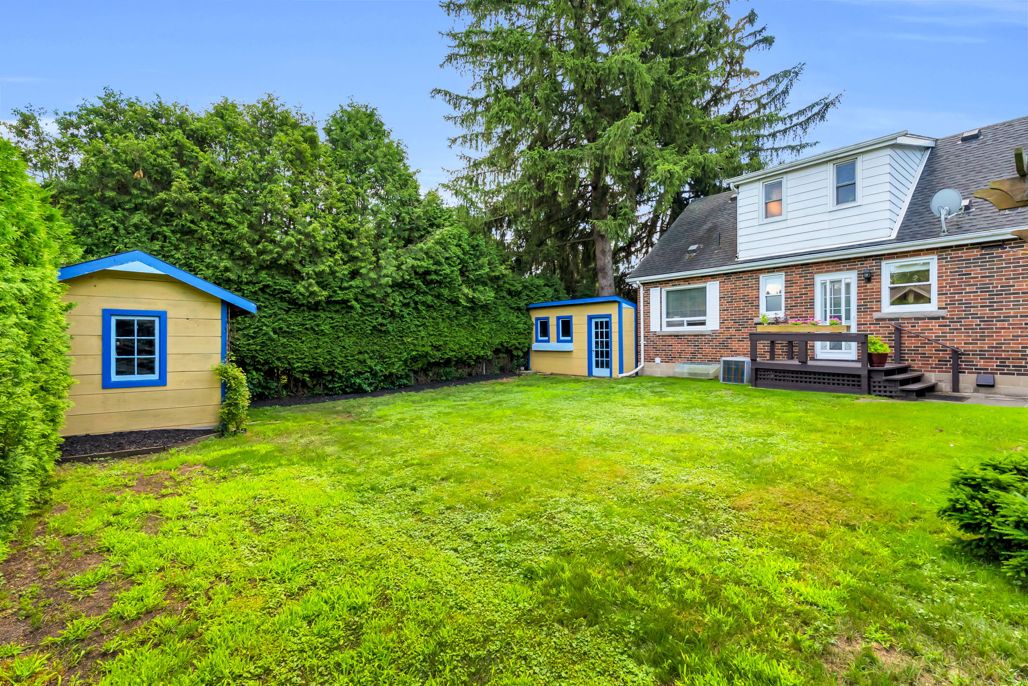 Backyard