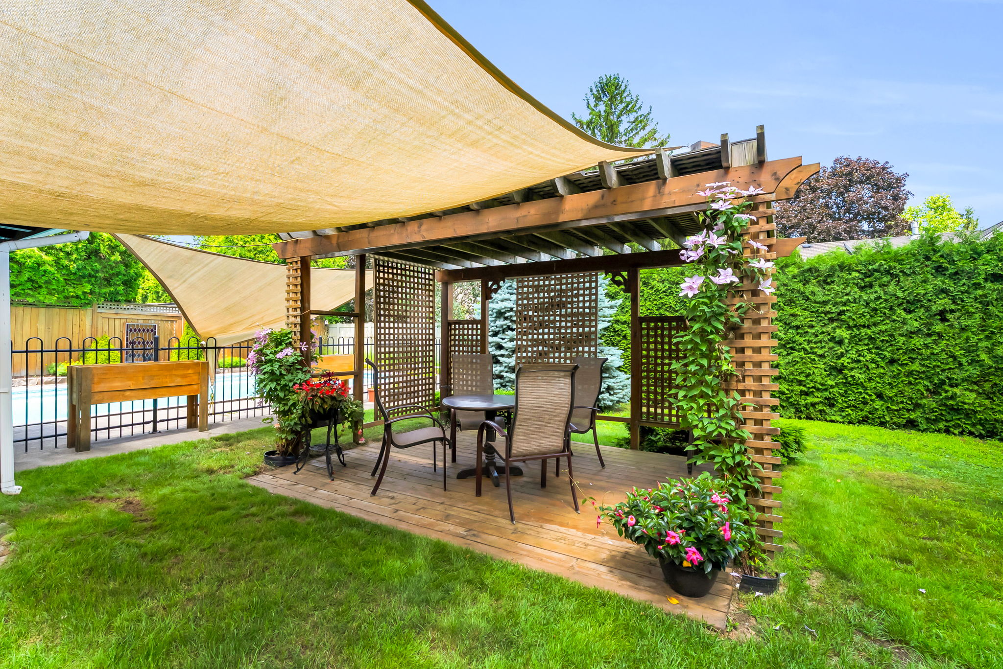 Backyard