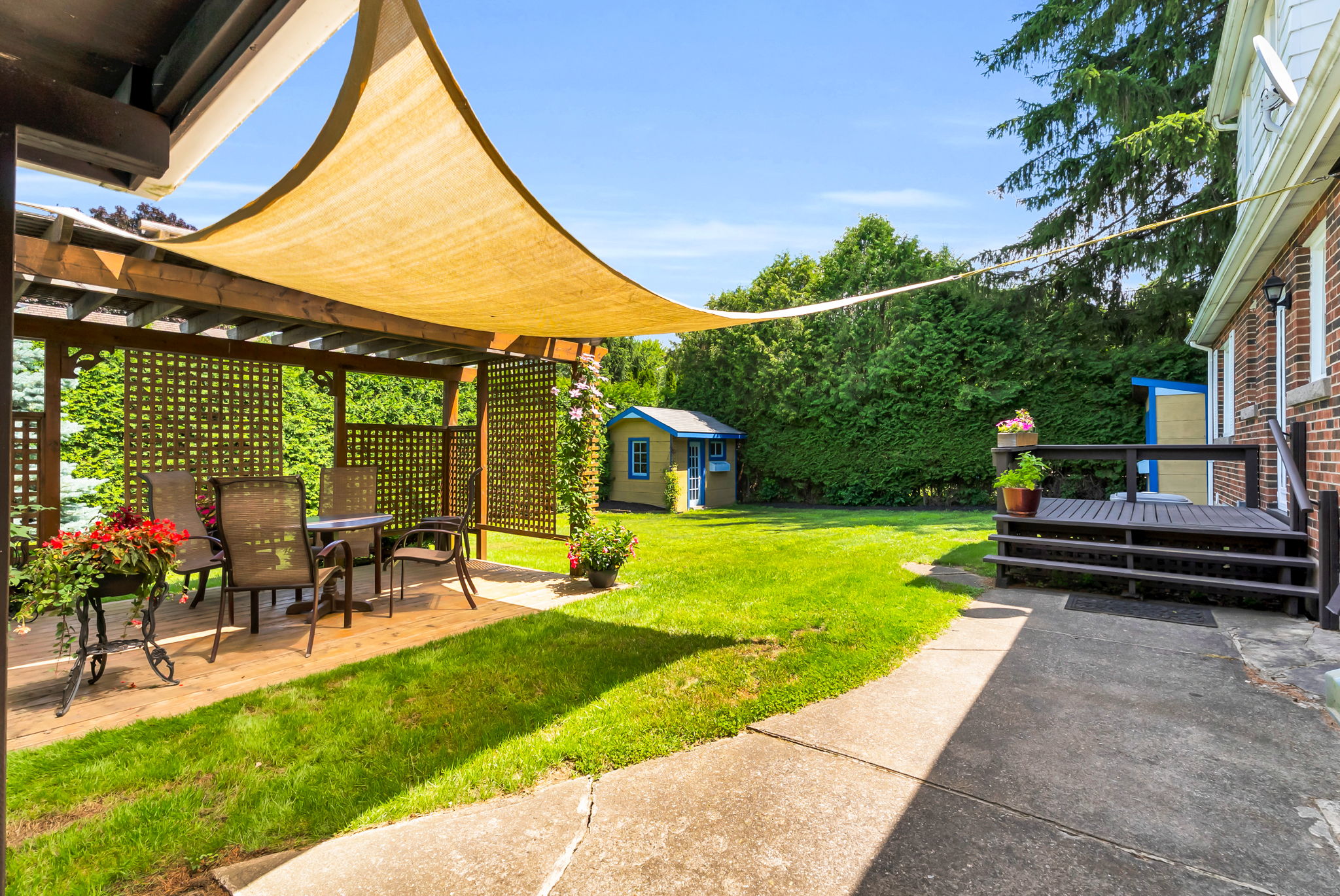 Backyard