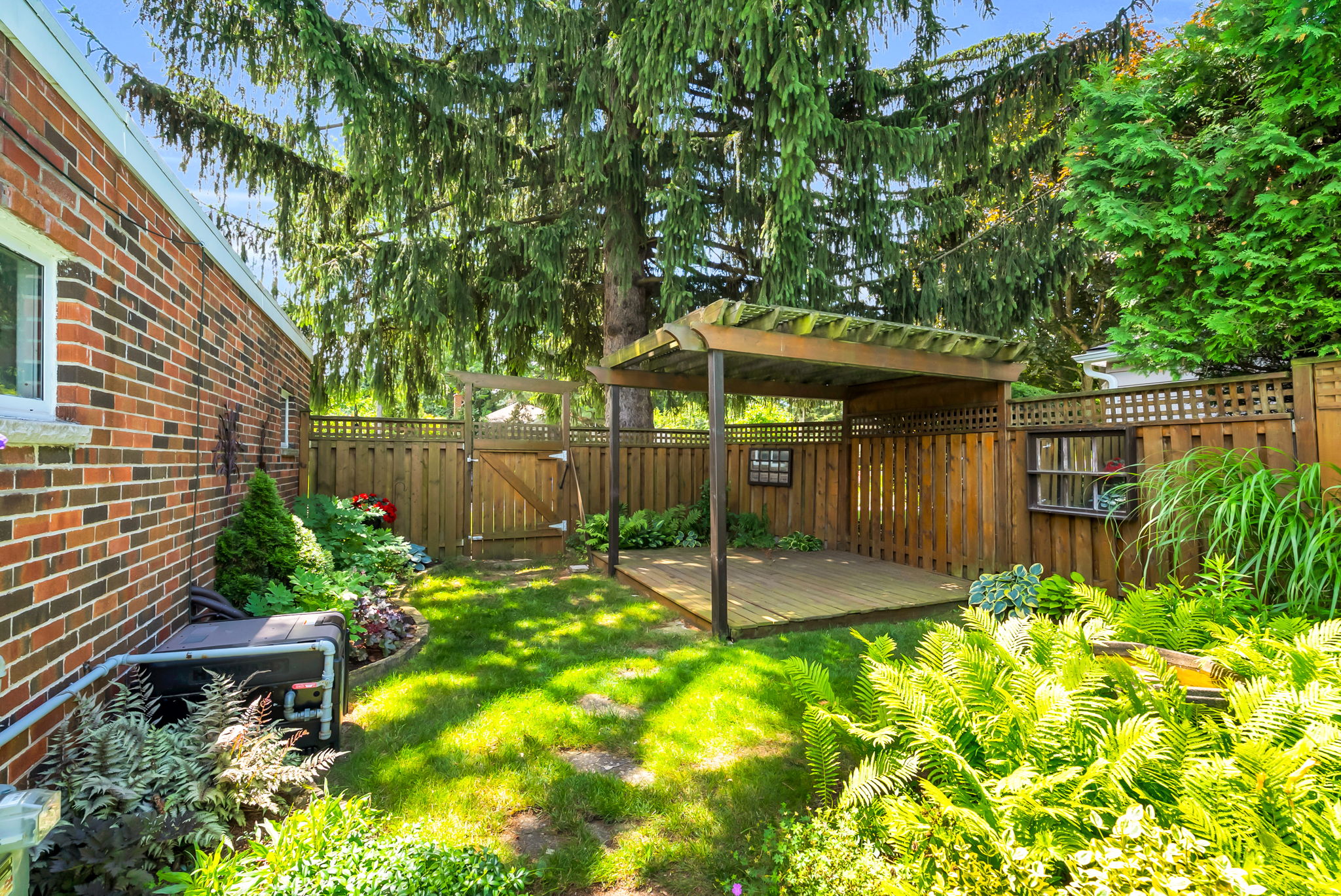 Backyard