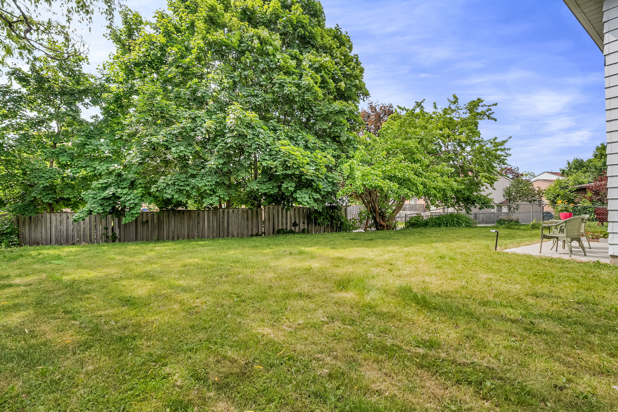 49-backyard2