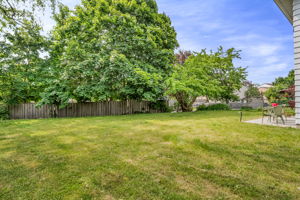 49-backyard2