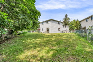 50-backyard3