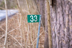 33 Portage Lake Rd, Seguin, ON P2A 2W8, Canada Photo 2
