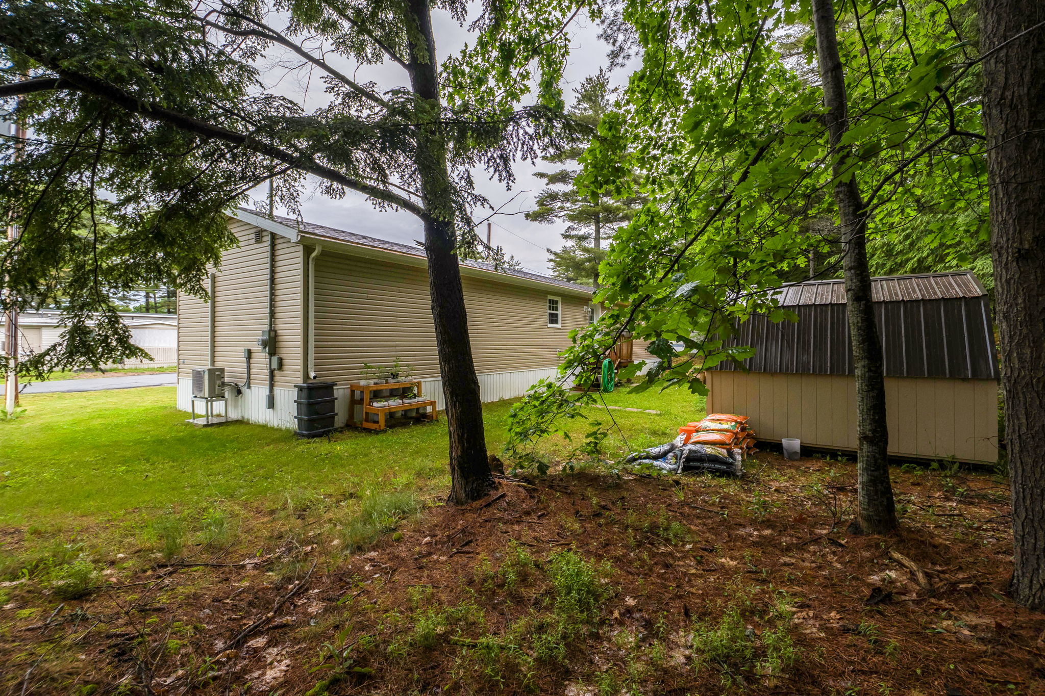  Photo 42