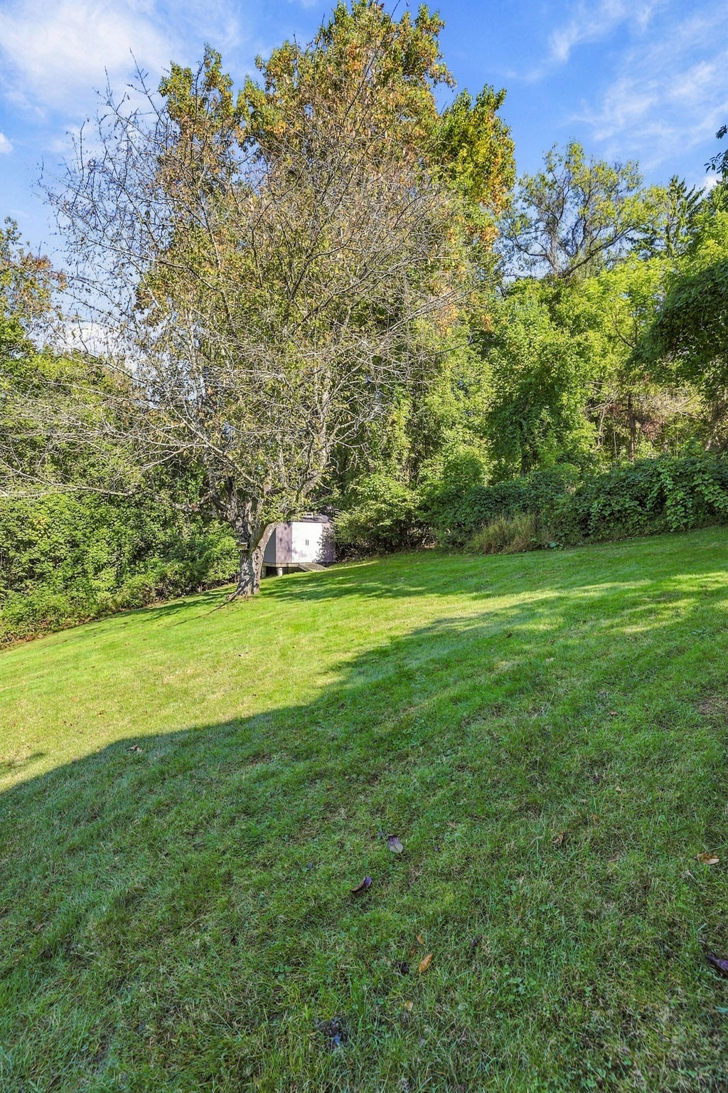  Photo 83