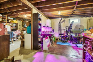 Webster Ave-026