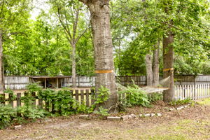 Photo 30