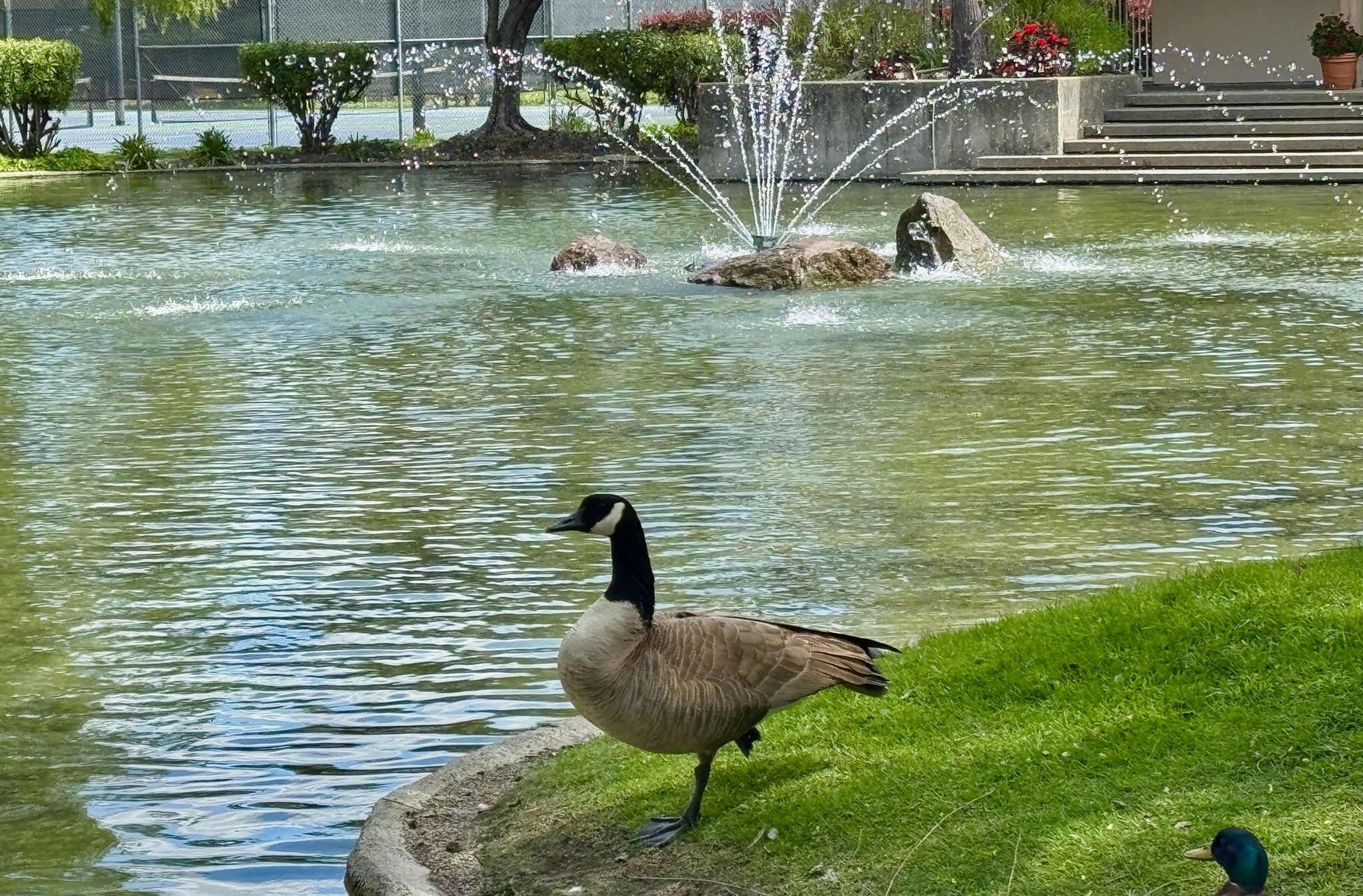  Photo 31