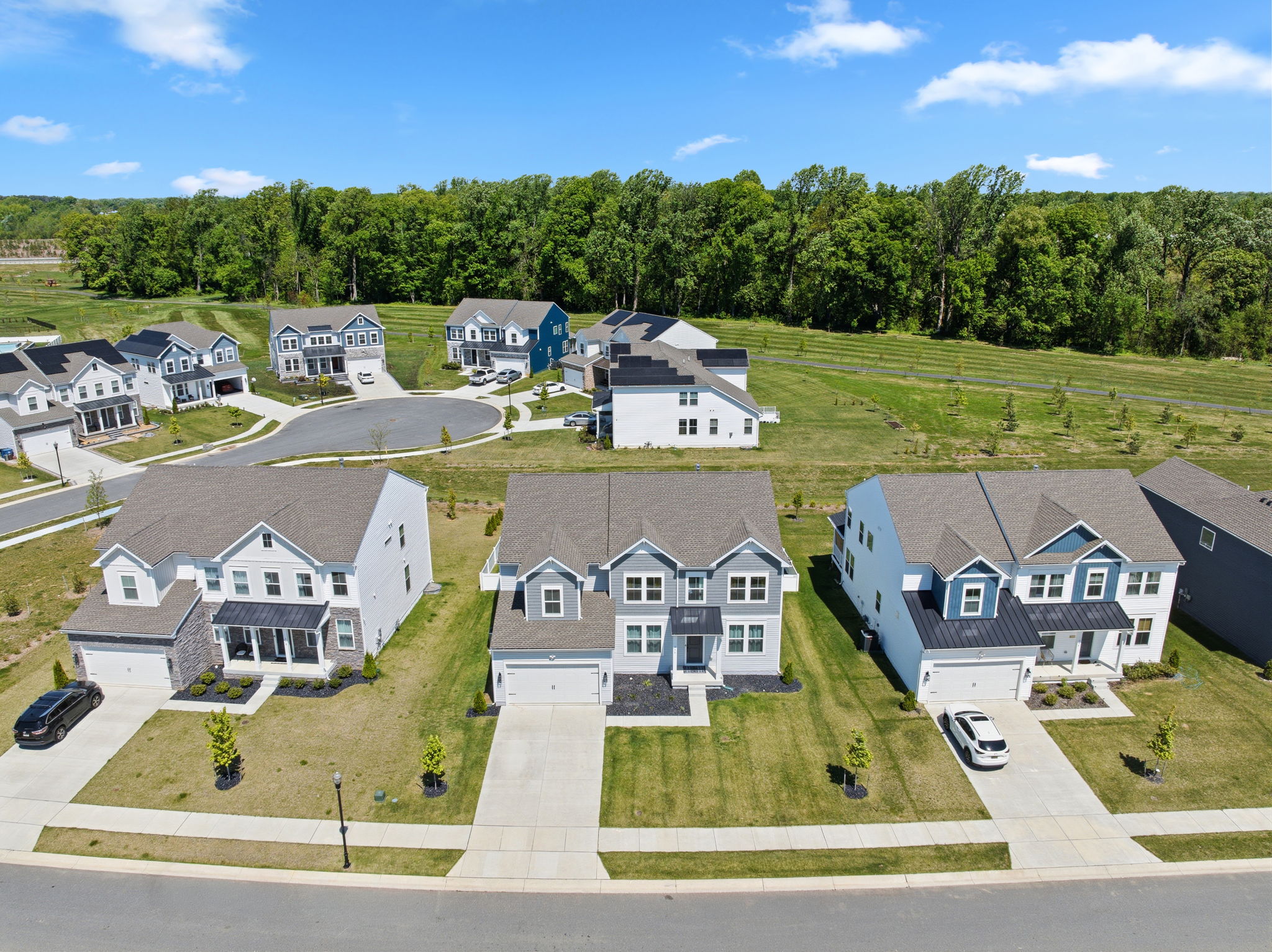 z Drone (1)