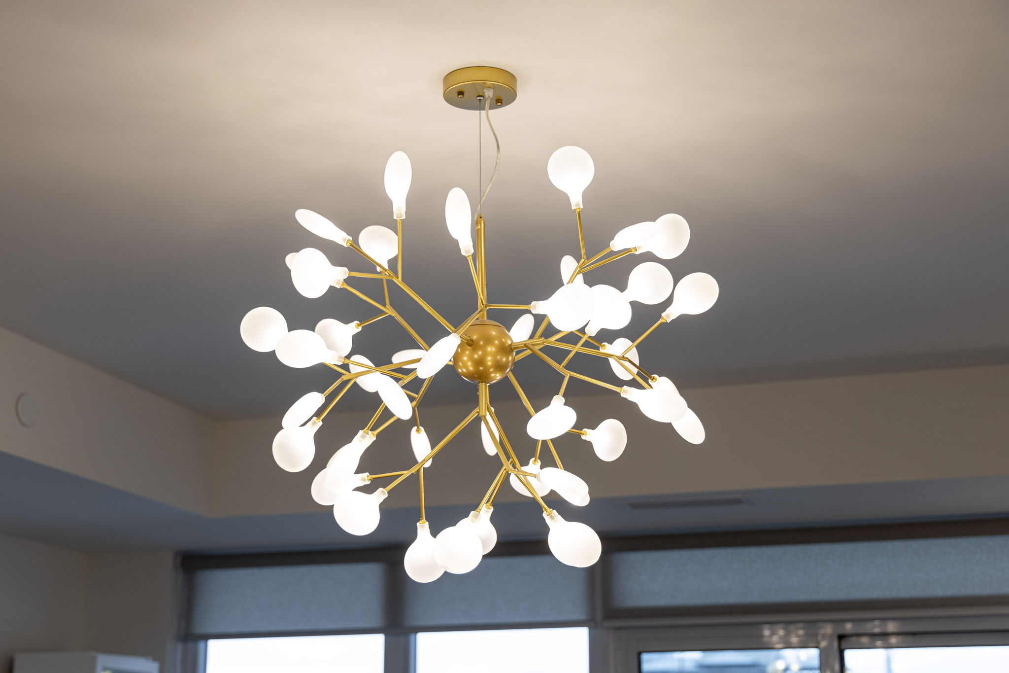 Toronto property showcase — delivered property photograph 16
