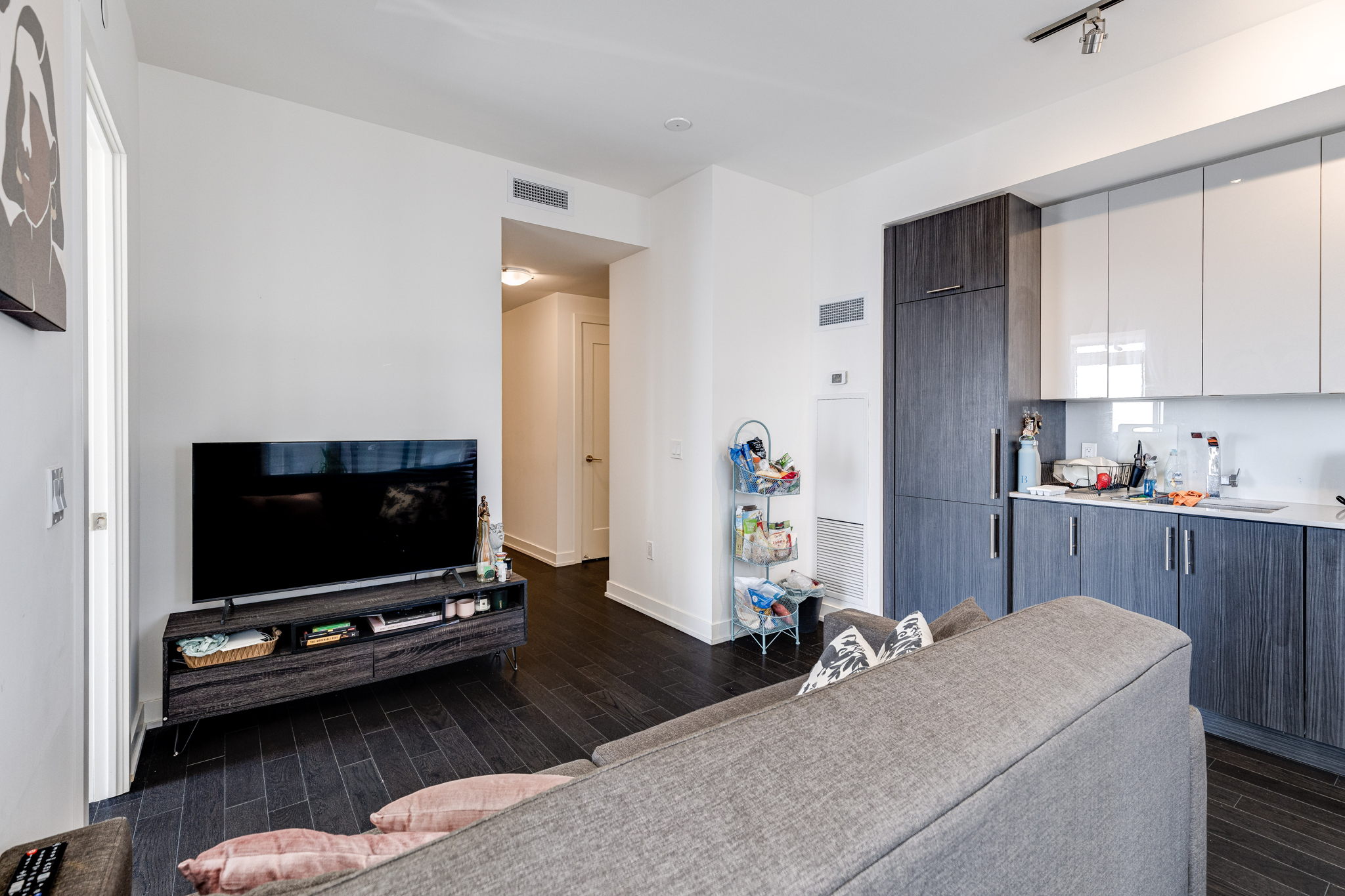 Toronto property showcase — delivered property photograph 10