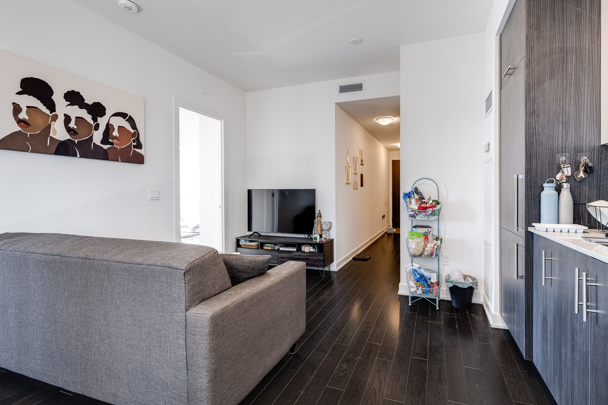 Toronto property showcase — delivered property photograph 9