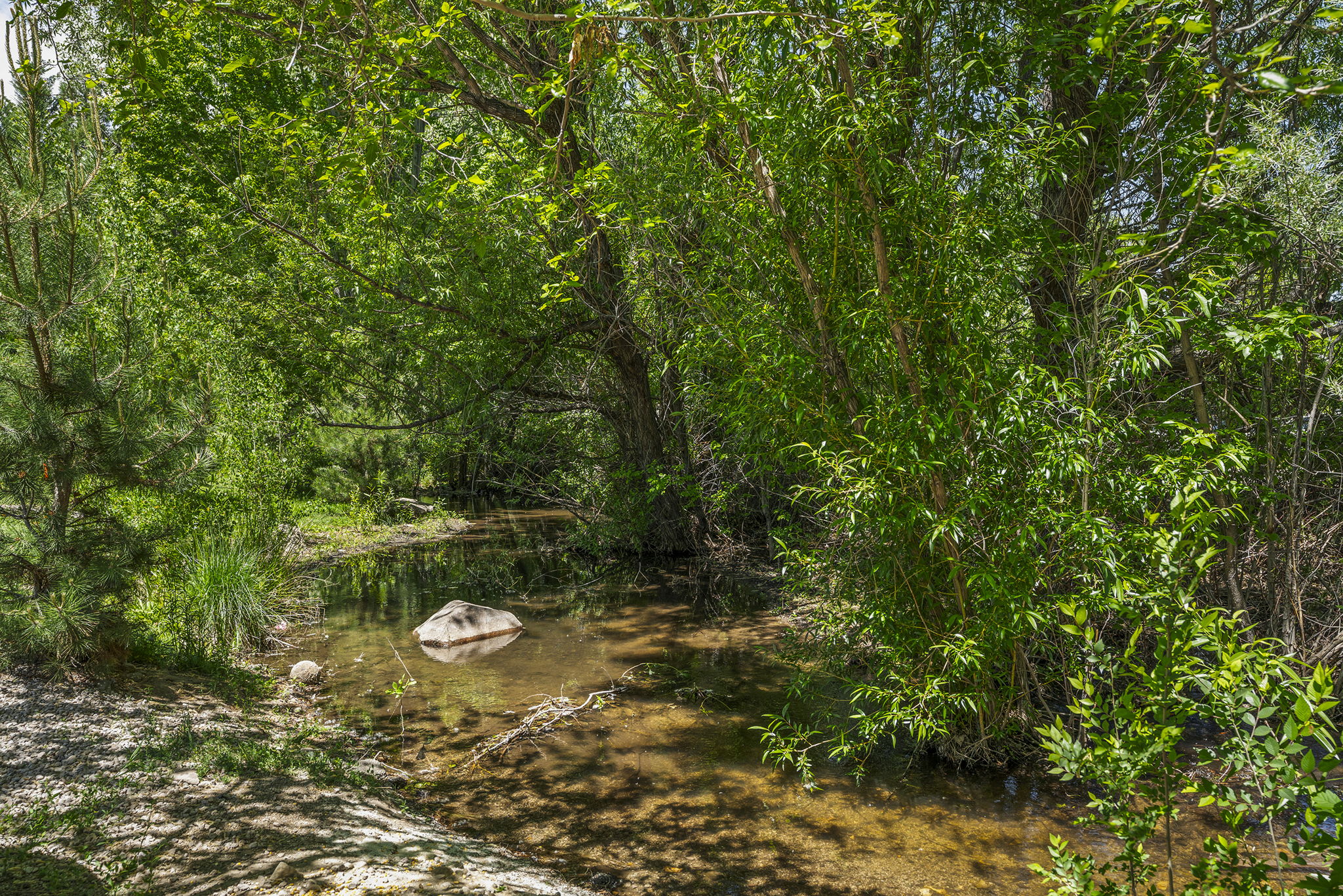  Photo 47