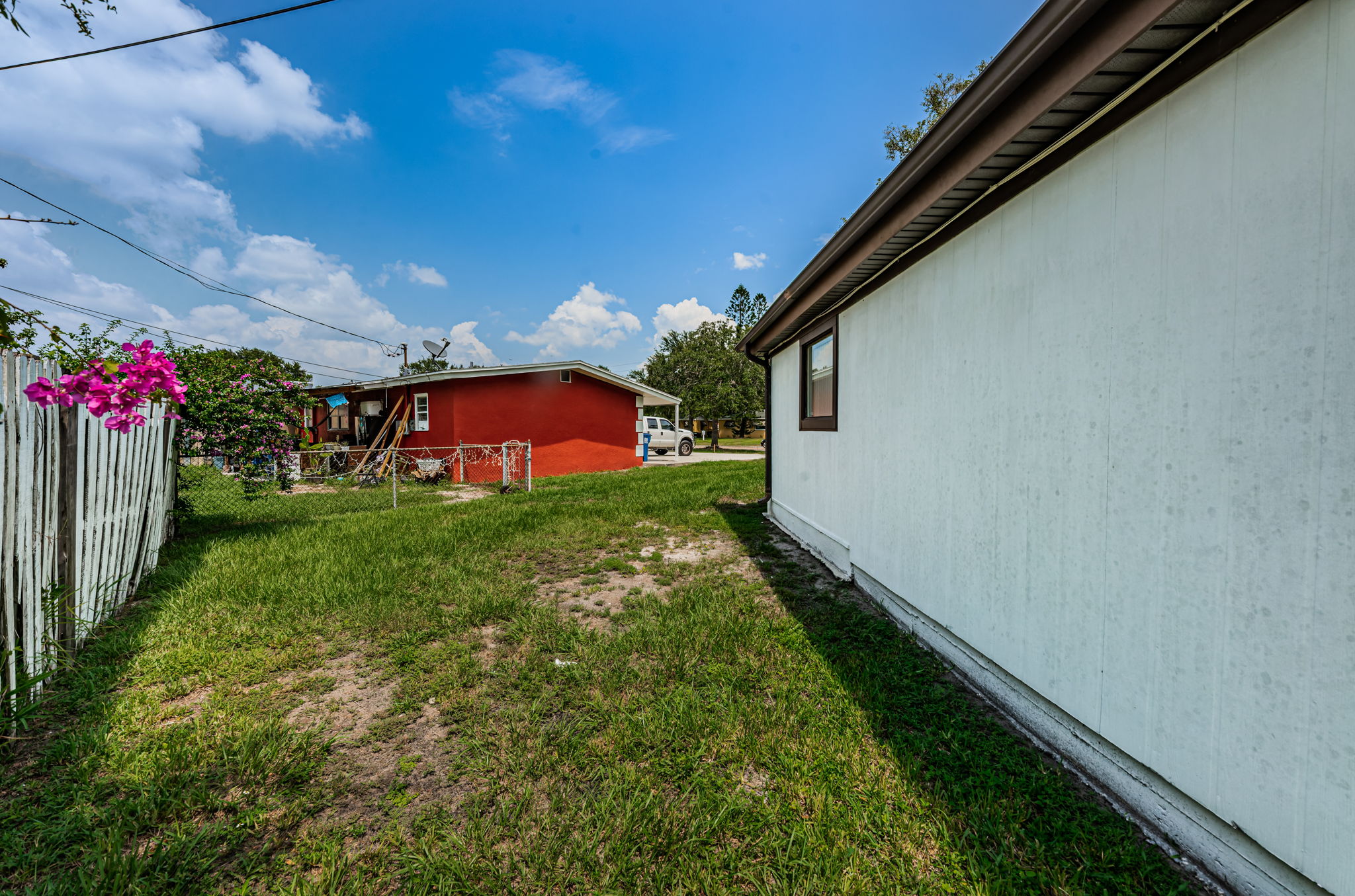 Backyard4