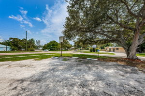 Frontyard