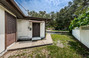 Backyard2