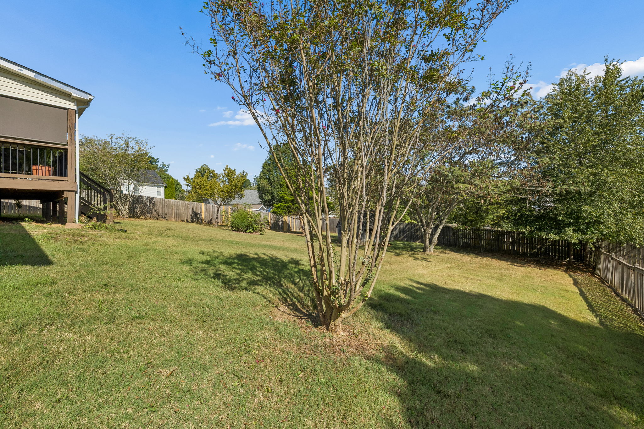 East corner back yard view.