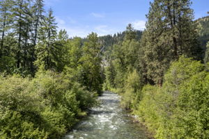  Photo 49