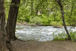  Photo 33