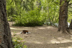  Photo 34