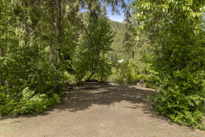  Photo 35