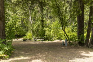  Photo 37
