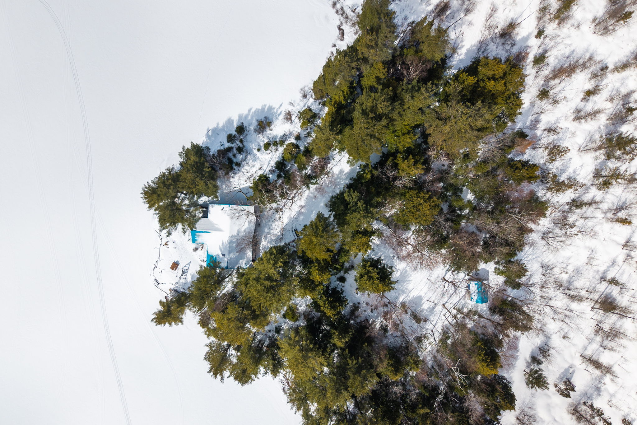 DJI_20260323065431_0781_D