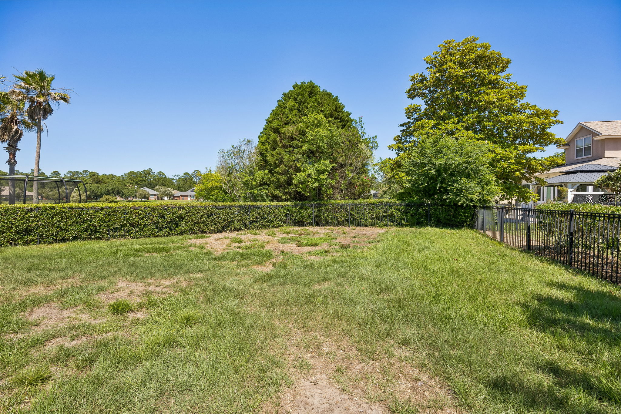 Backyard