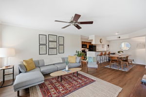 Sun-Filled Living Room