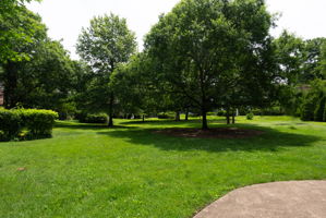  Photo 34
