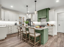 331 Chisholm Trail, Rutherfordton, NC 28139, USA Photo 96