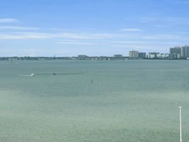 Balcony5 View