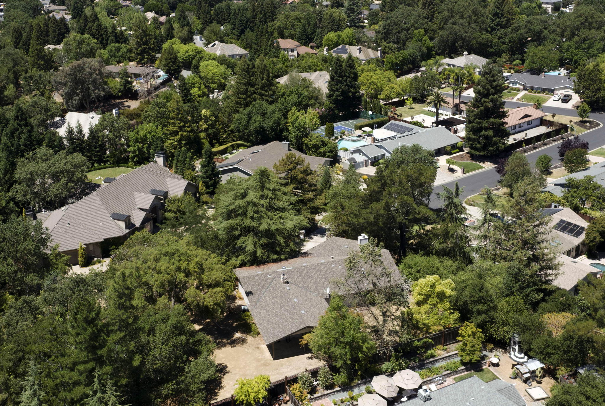  331 Likely Ct, Alamo, CA 94507, US Photo 3