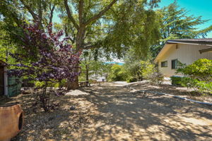  331 Likely Ct, Alamo, CA 94507, US Photo 24