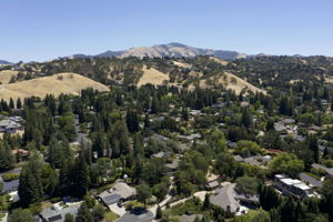  331 Likely Ct, Alamo, CA 94507, US Photo 29