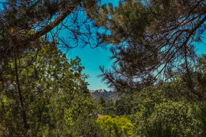  331 Likely Ct, Alamo, CA 94507, US Photo 27