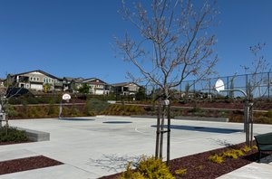  Photo 39