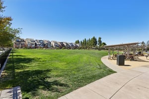 Pyramid Wy-2409-903.jpg