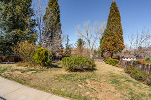  Photo 49