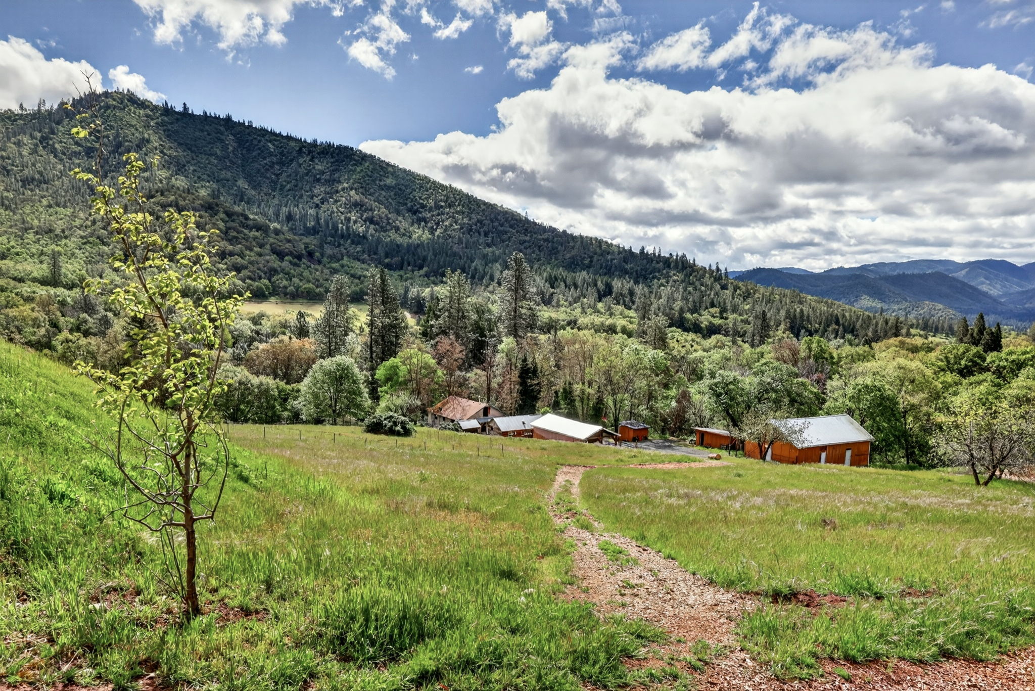  Photo 40