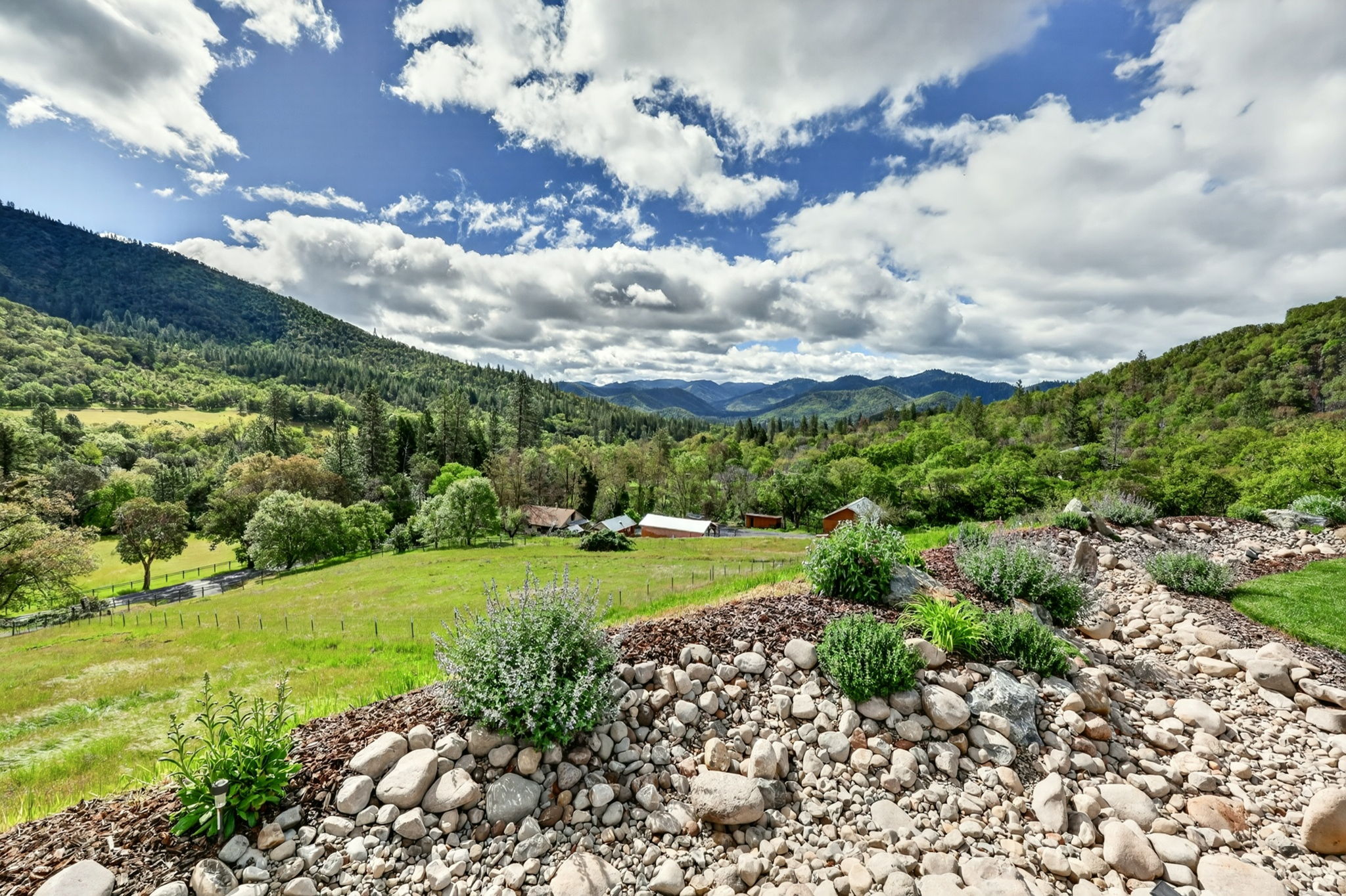  Photo 47