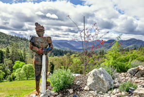  Photo 48