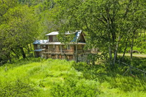 Photo 0