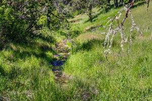  Photo 49
