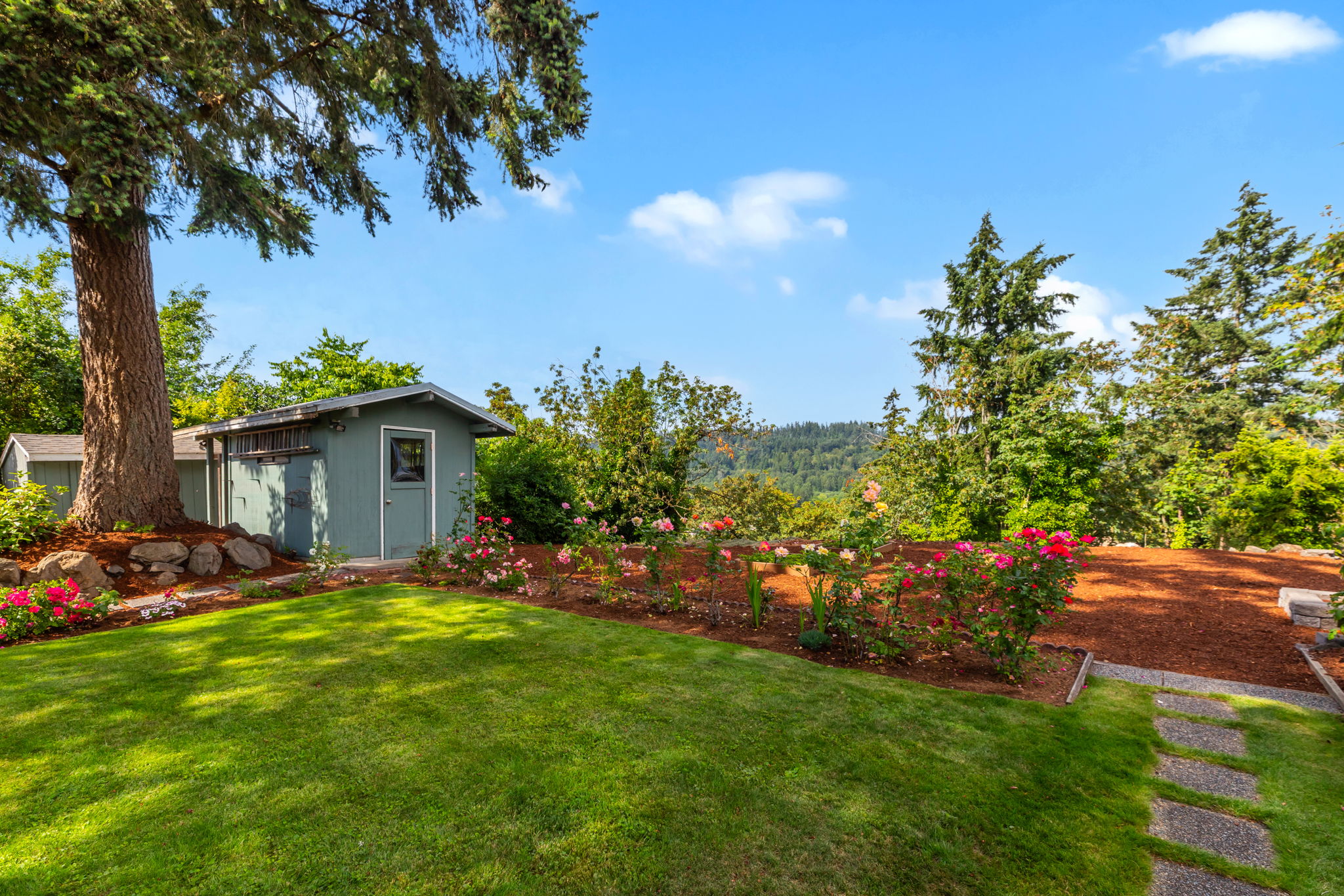 Back Yard & view